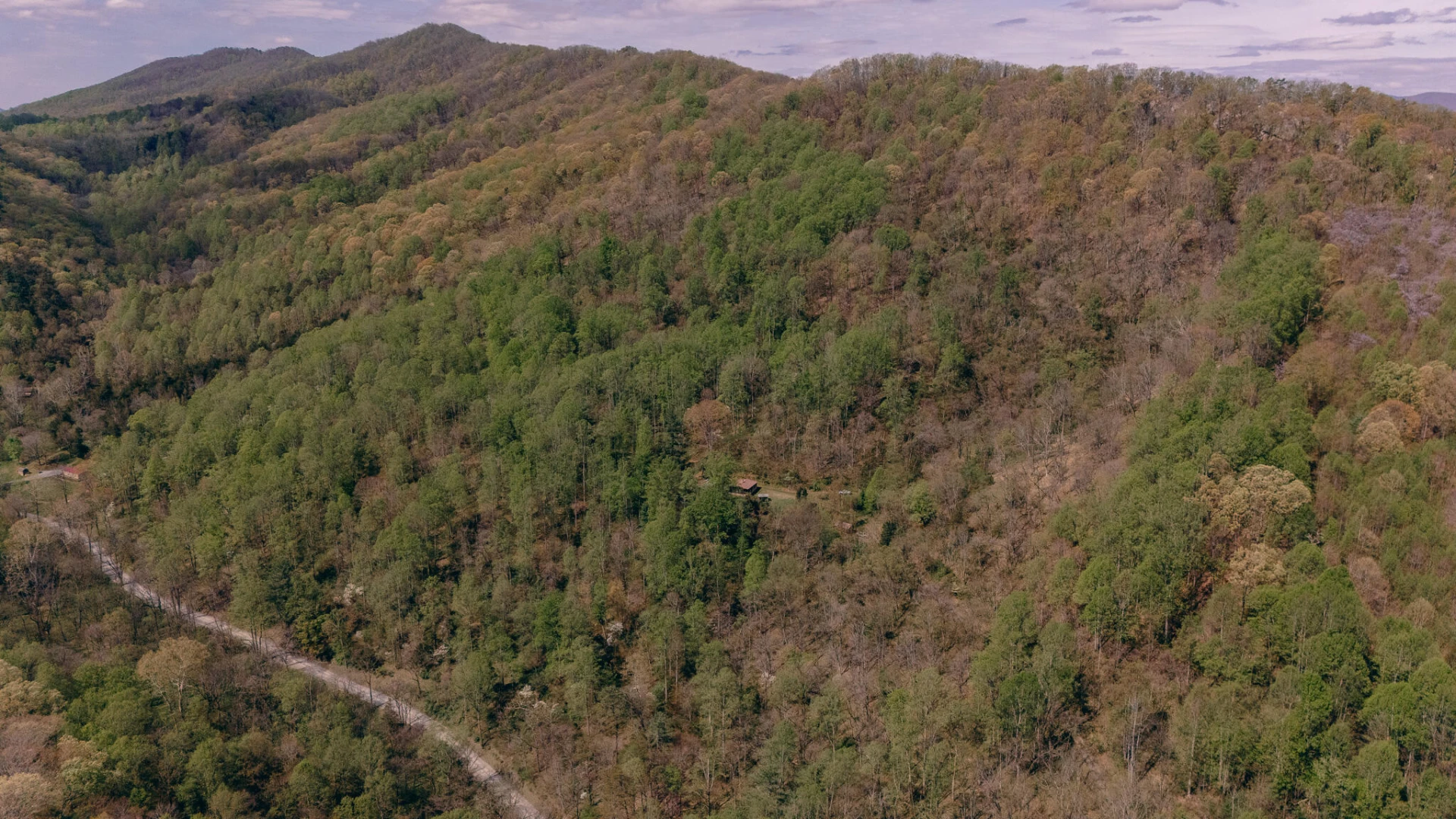 0 Sugar Tree Hollow RD - Photo 2
