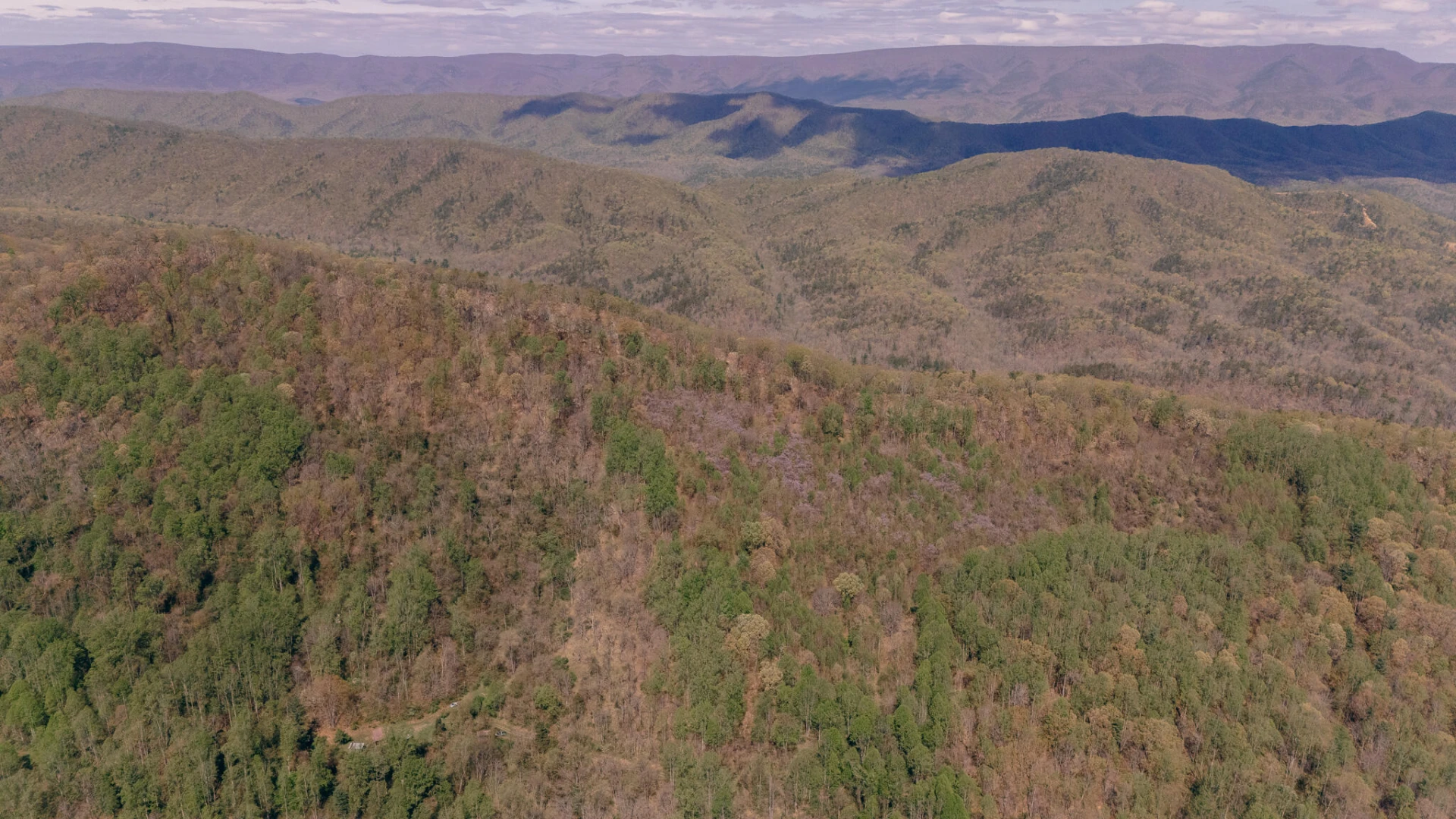 0 Sugar Tree Hollow RD - Photo 3