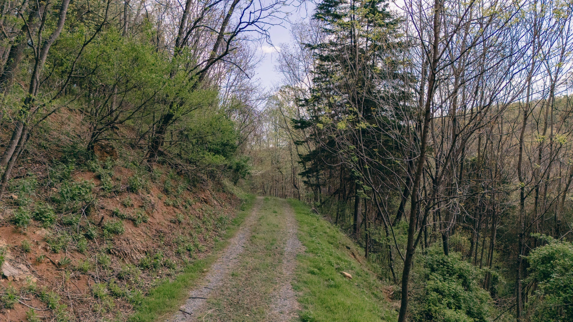 0 Sugar Tree Hollow RD - Photo 34