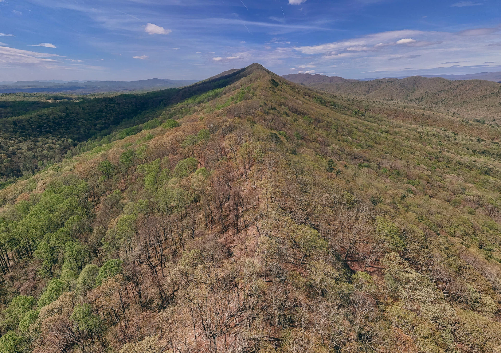 0 Sugar Tree Hollow RD - Photo 37