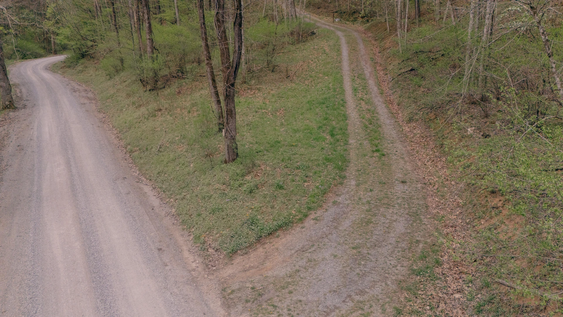 0 Sugar Tree Hollow RD - Photo 38