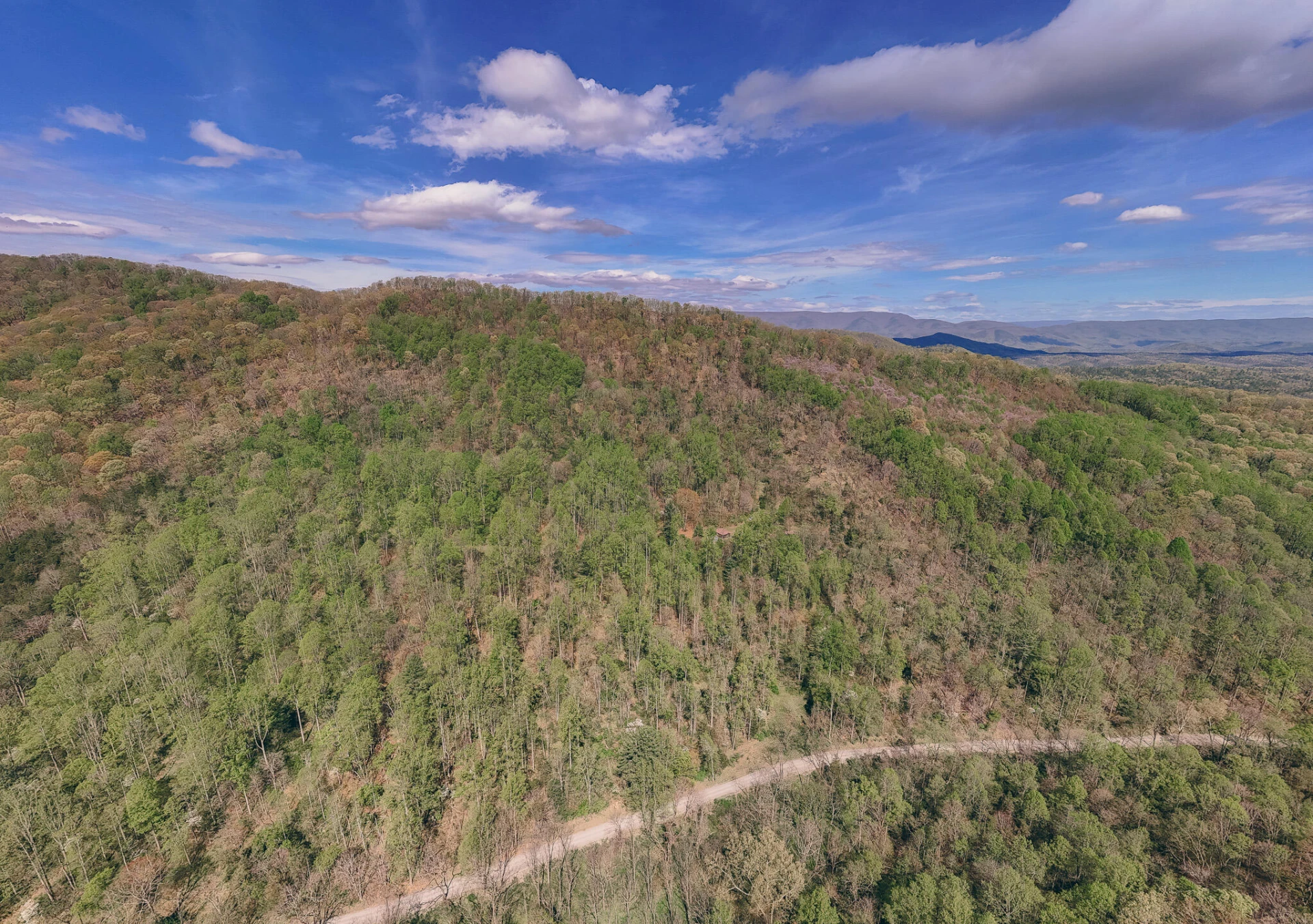 0 Sugar Tree Hollow RD - Photo 4