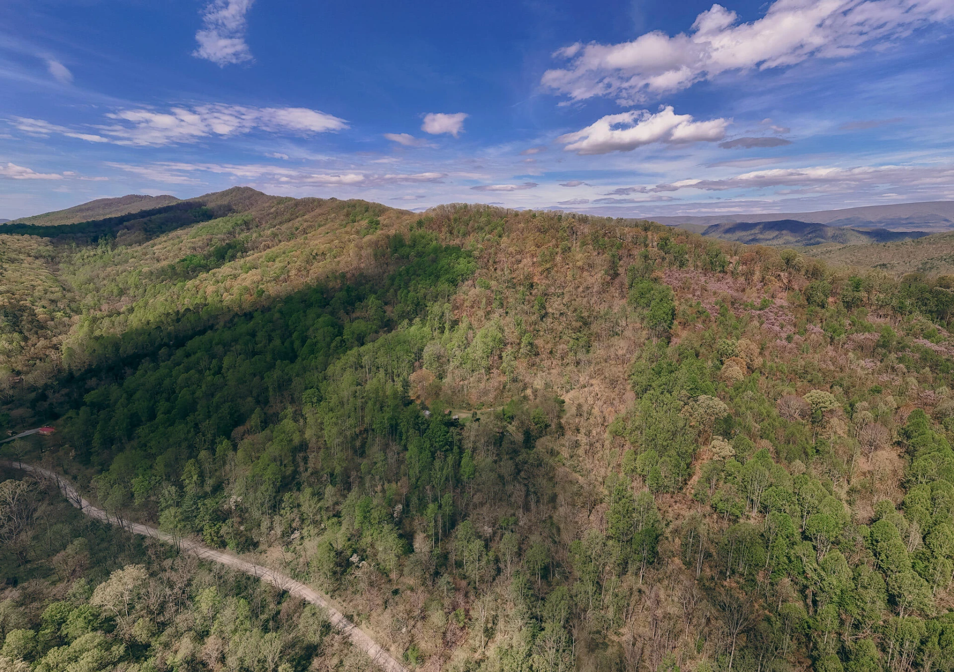 0 Sugar Tree Hollow RD - Photo 5
