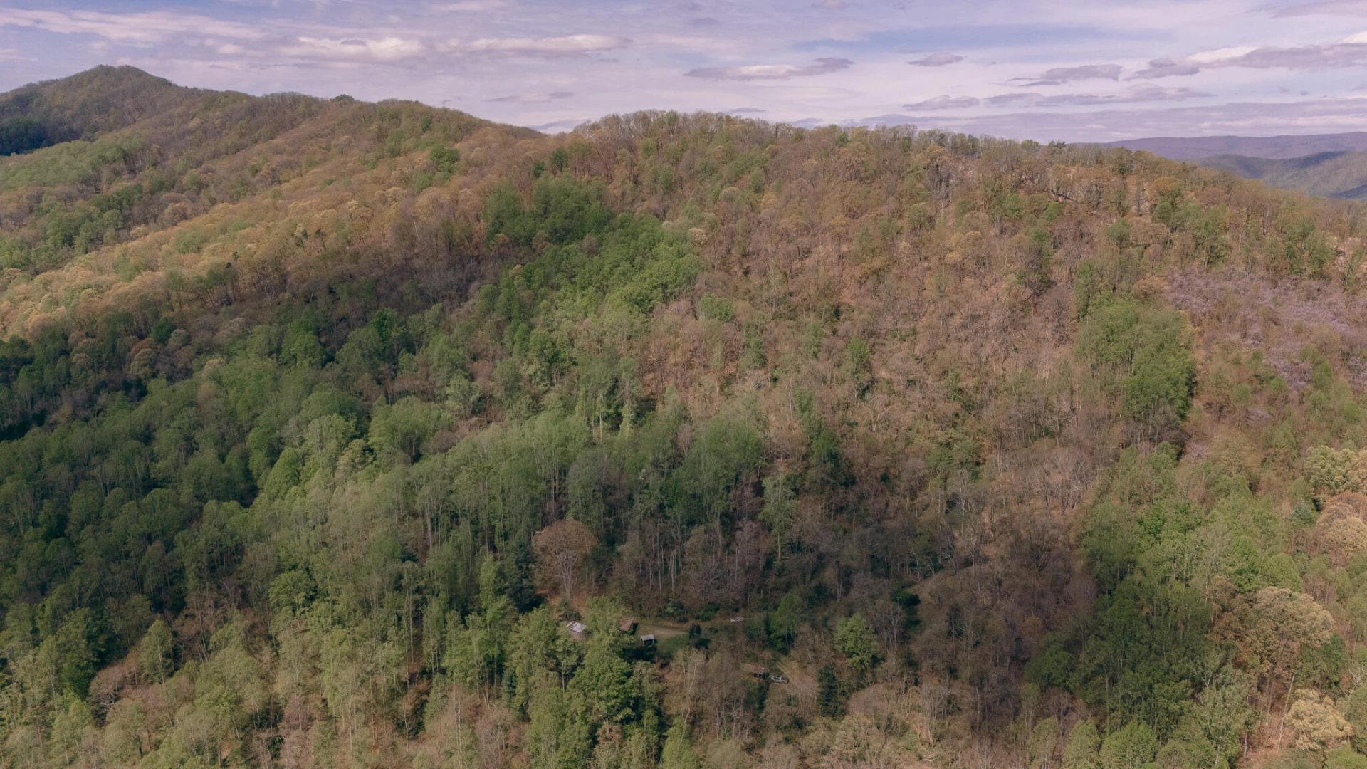 0 Sugar Tree Hollow RD - Photo 6