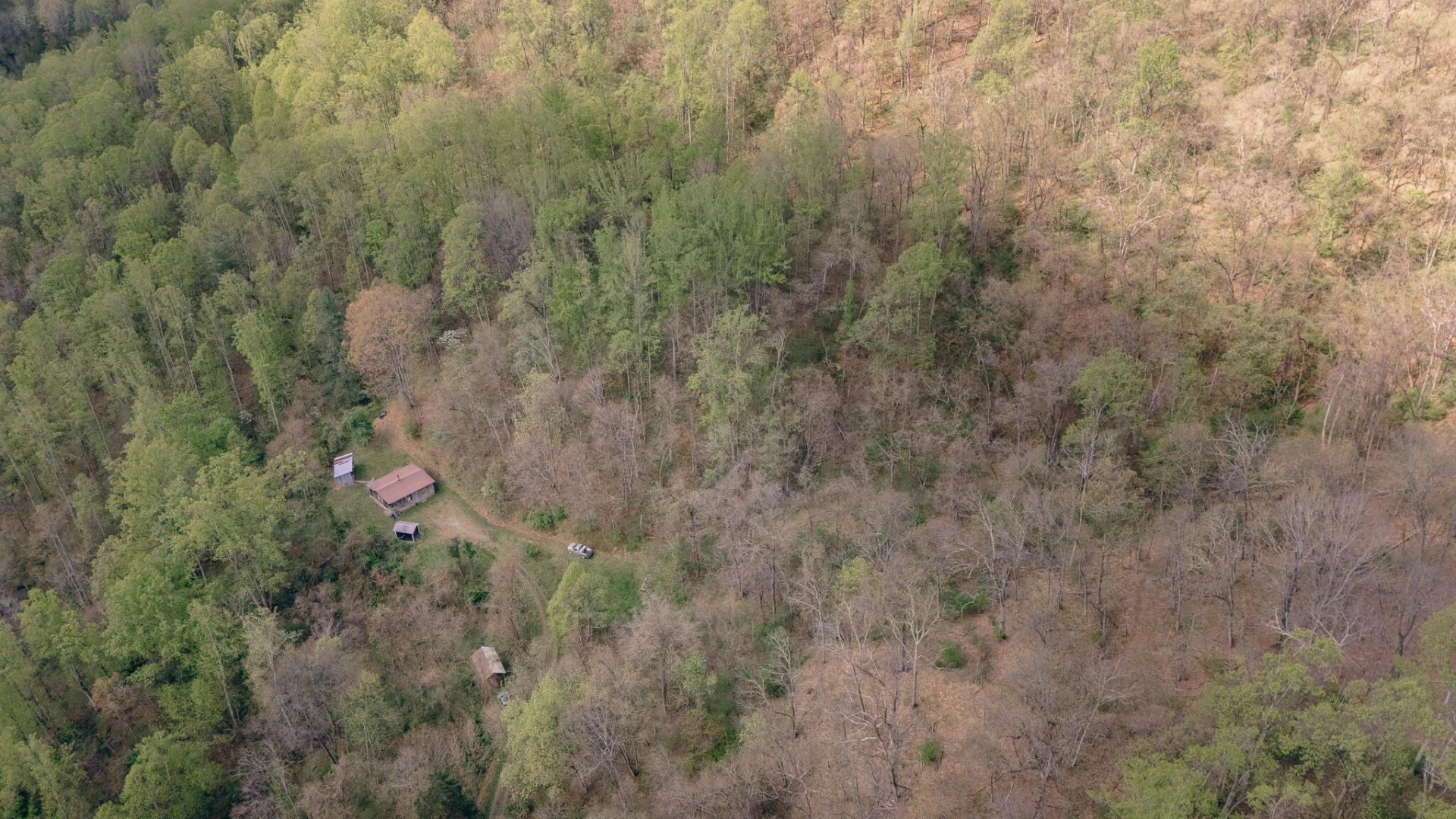 0 Sugar Tree Hollow RD - Photo 7
