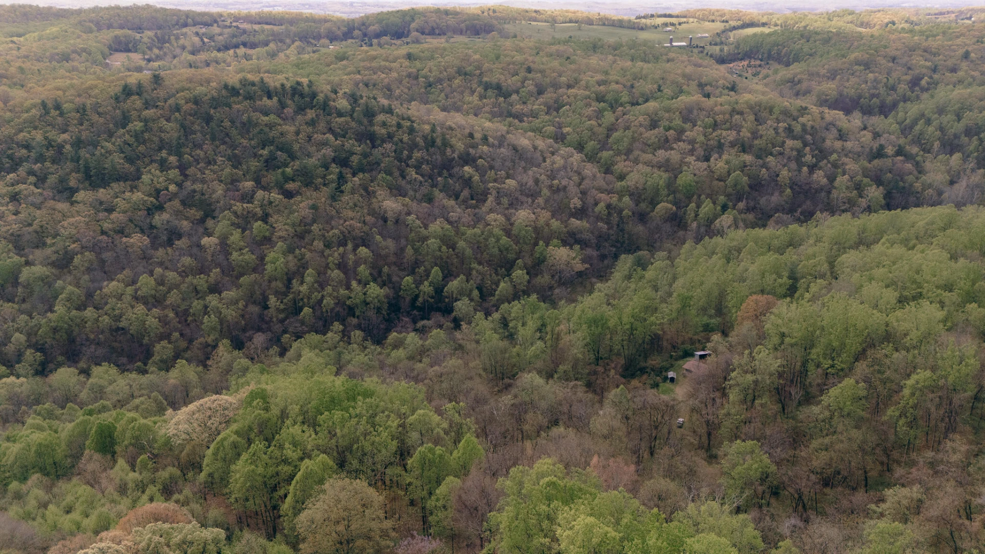 0 Sugar Tree Hollow RD - Photo 8