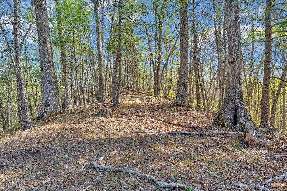 363 Ezra DR - Photo 61