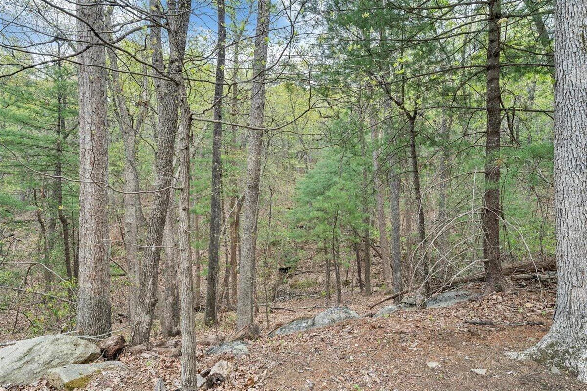 245 Timber Trail LN - Photo 34