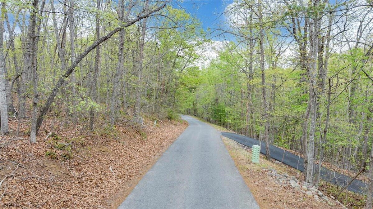 245 Timber Trail LN - Photo 38