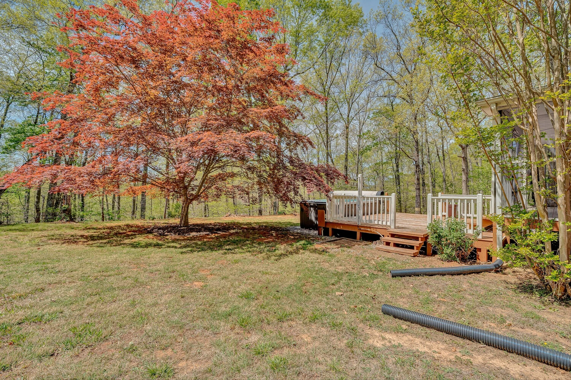2674 Pico RD - Photo 34