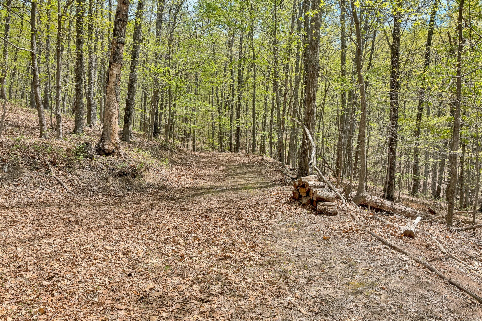 2674 Pico RD - Photo 43