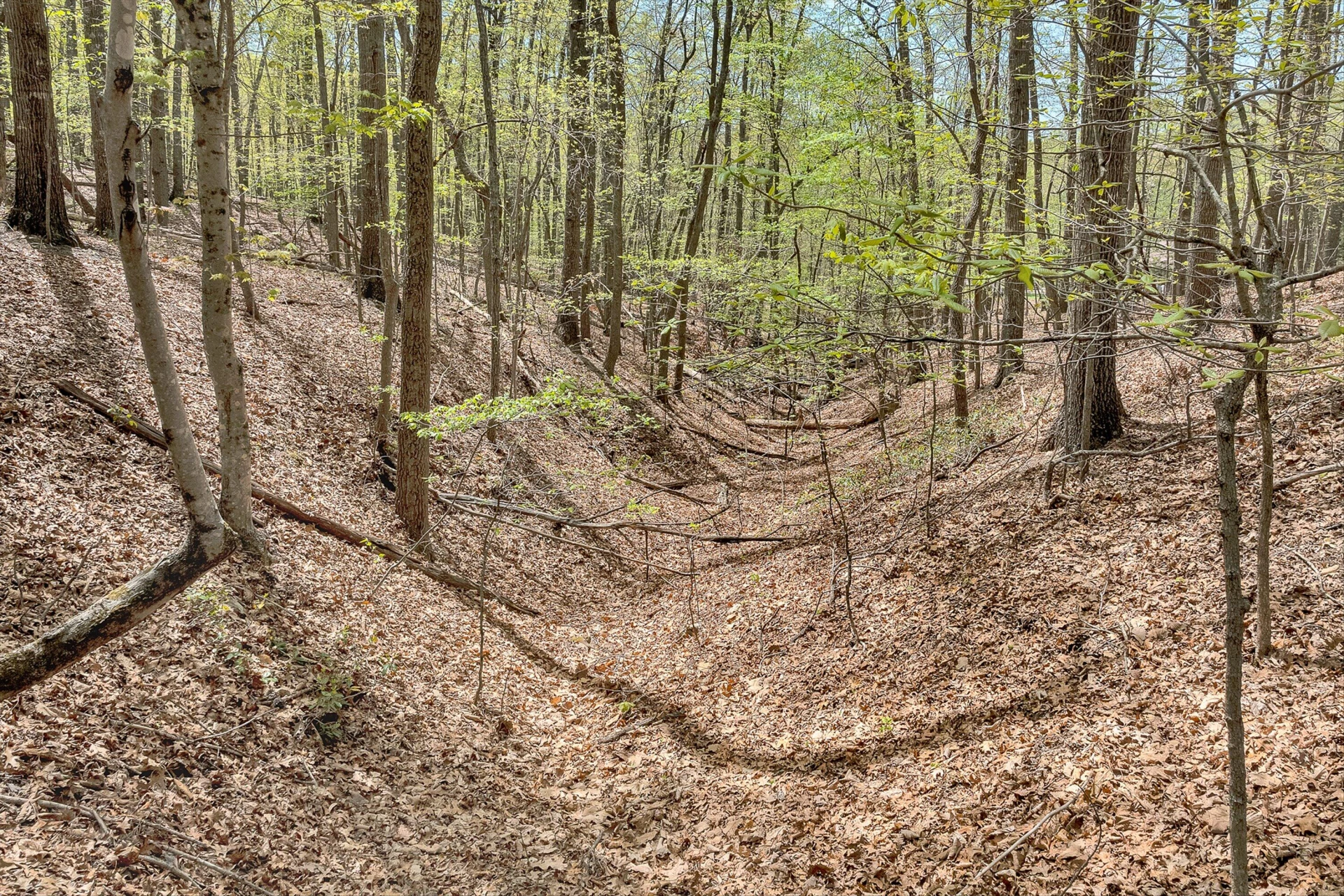 2674 Pico RD - Photo 44