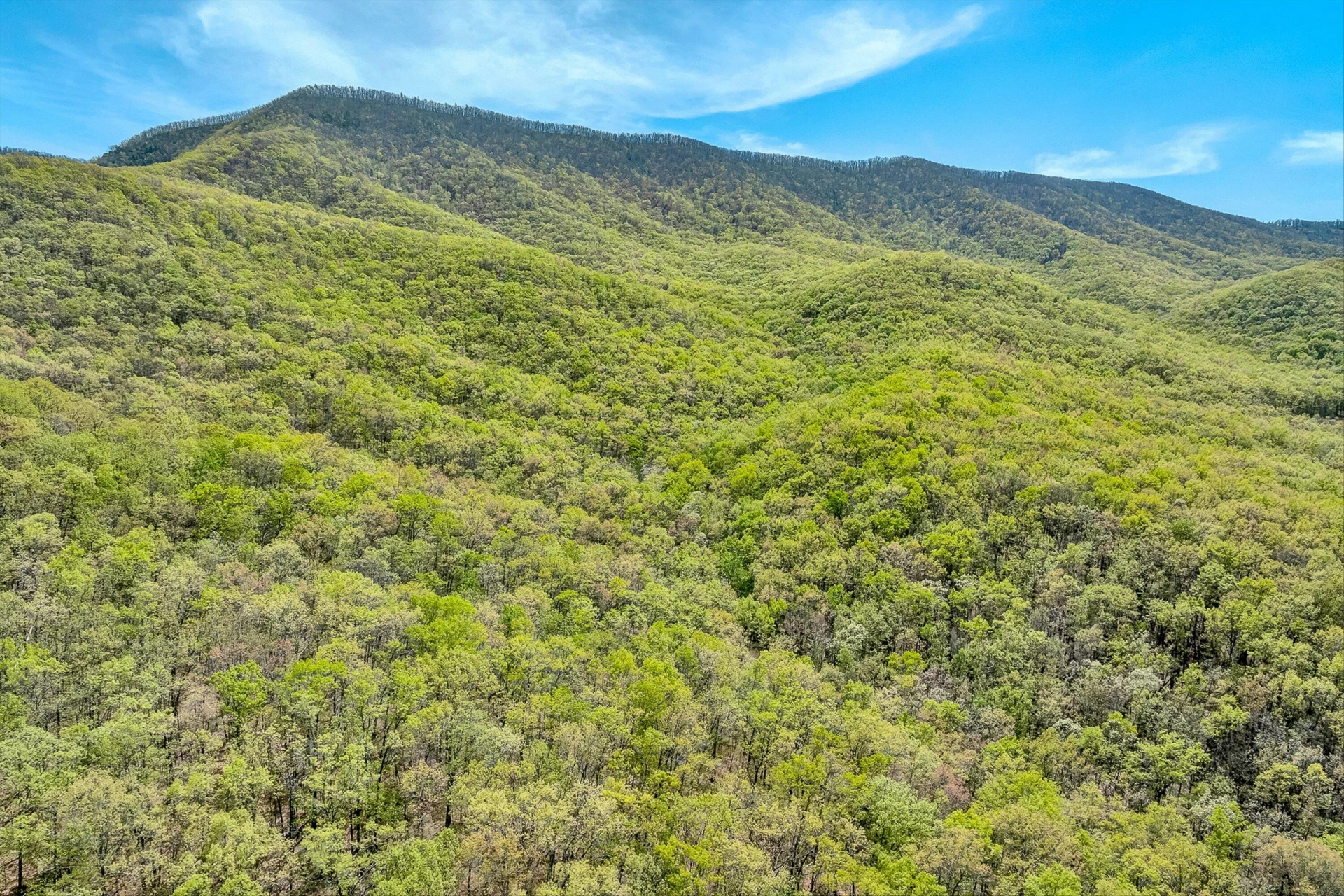 2674 Pico RD - Photo 47