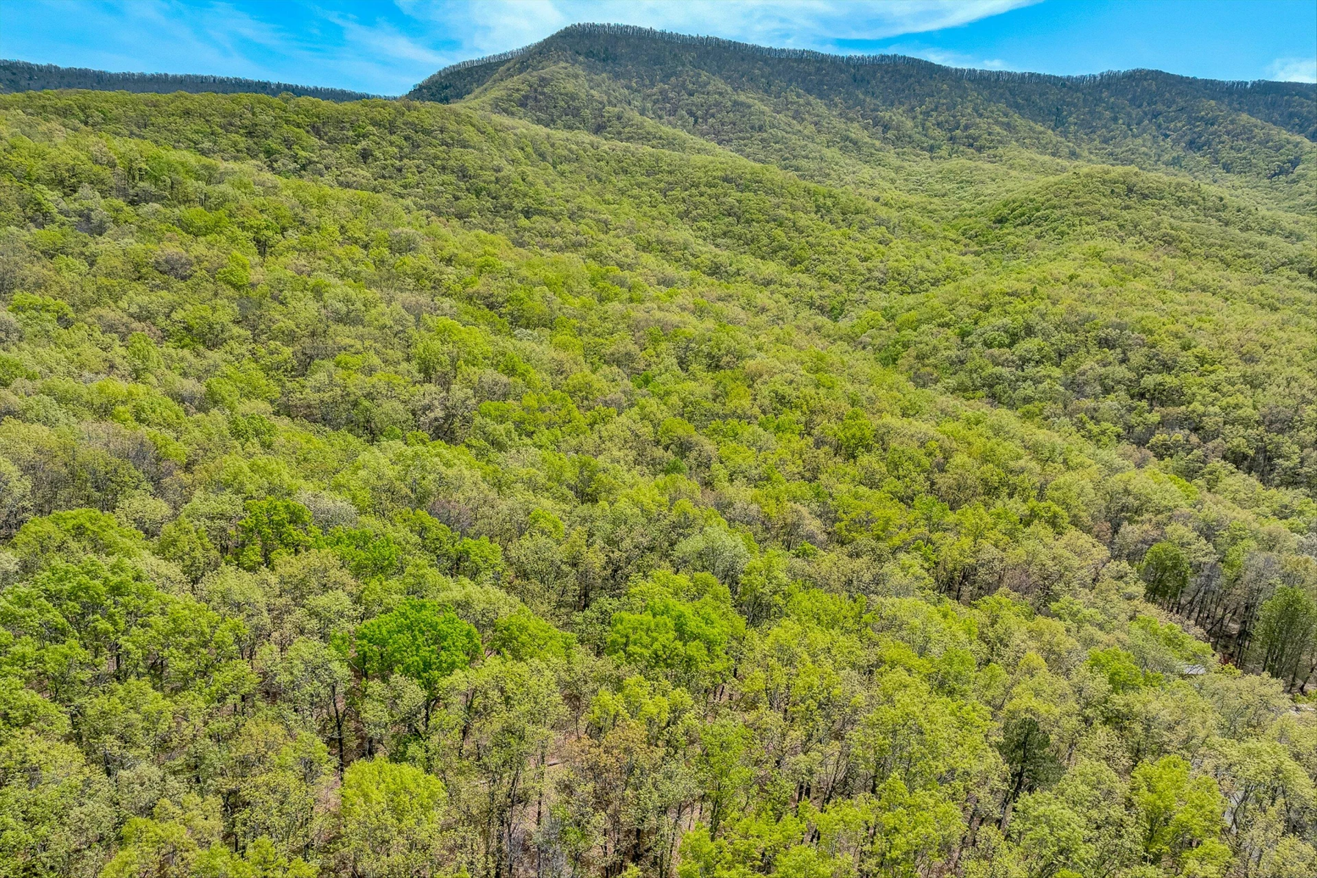 2674 Pico RD - Photo 50