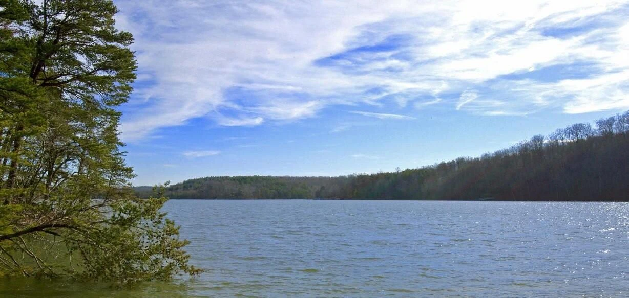 Lot 16 Robin Ridge CT - Photo 2