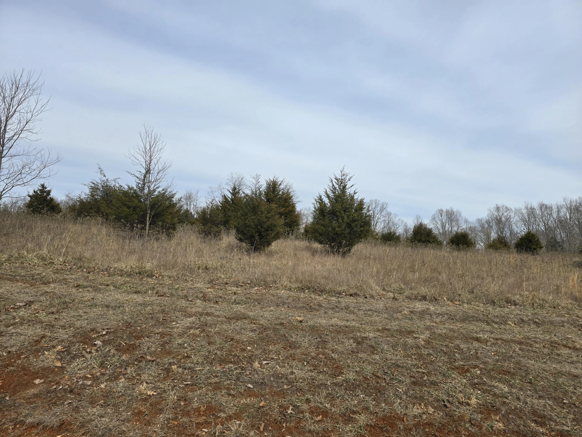 Lot 16 Robin Ridge CT - Photo 3