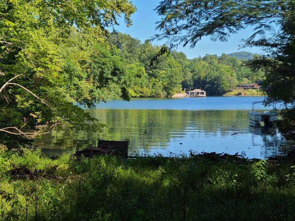Lot 14 Hickory PL - Photo 12