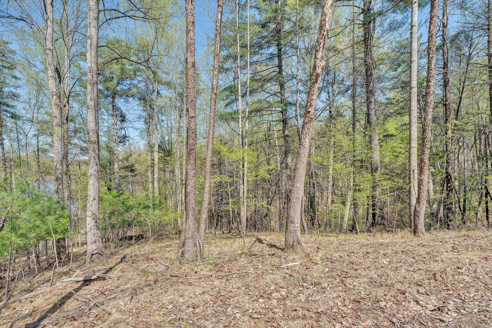 Lot 14 Hickory PL - Photo 13