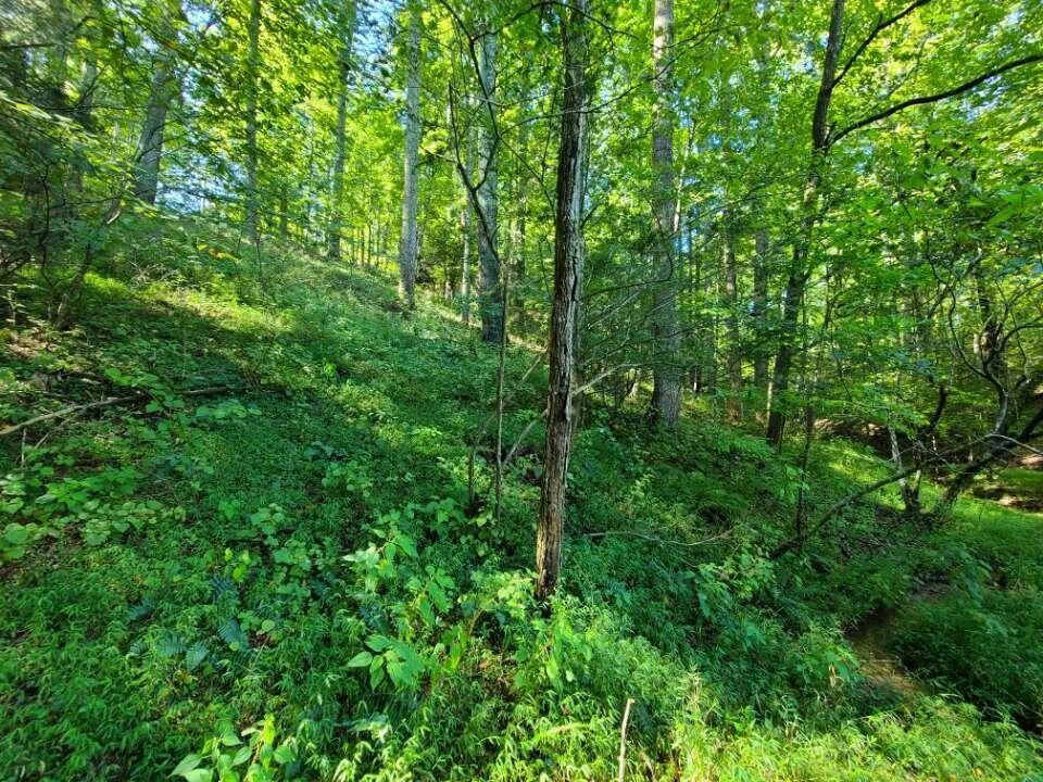 Lot 14 Hickory PL - Photo 19