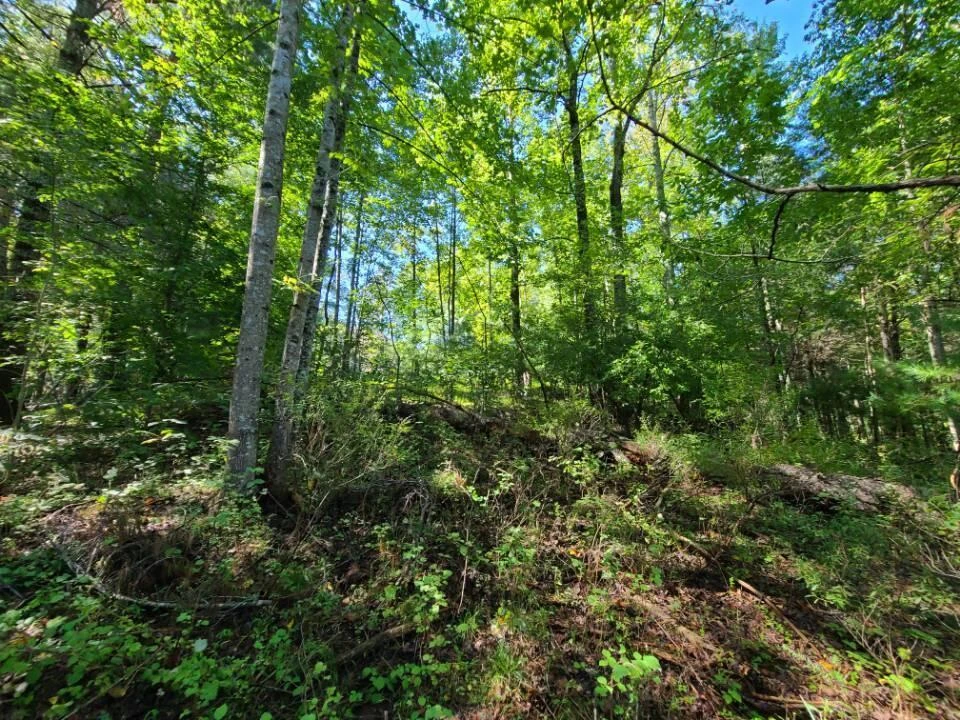 Lot 14 Hickory PL - Photo 23
