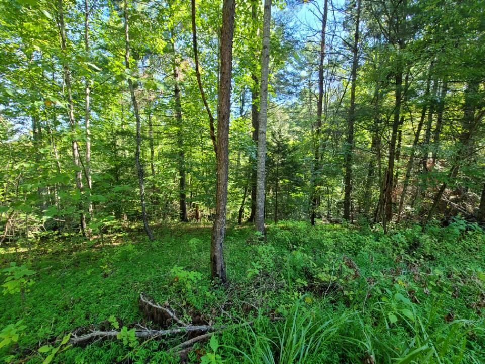 Lot 14 Hickory PL - Photo 24