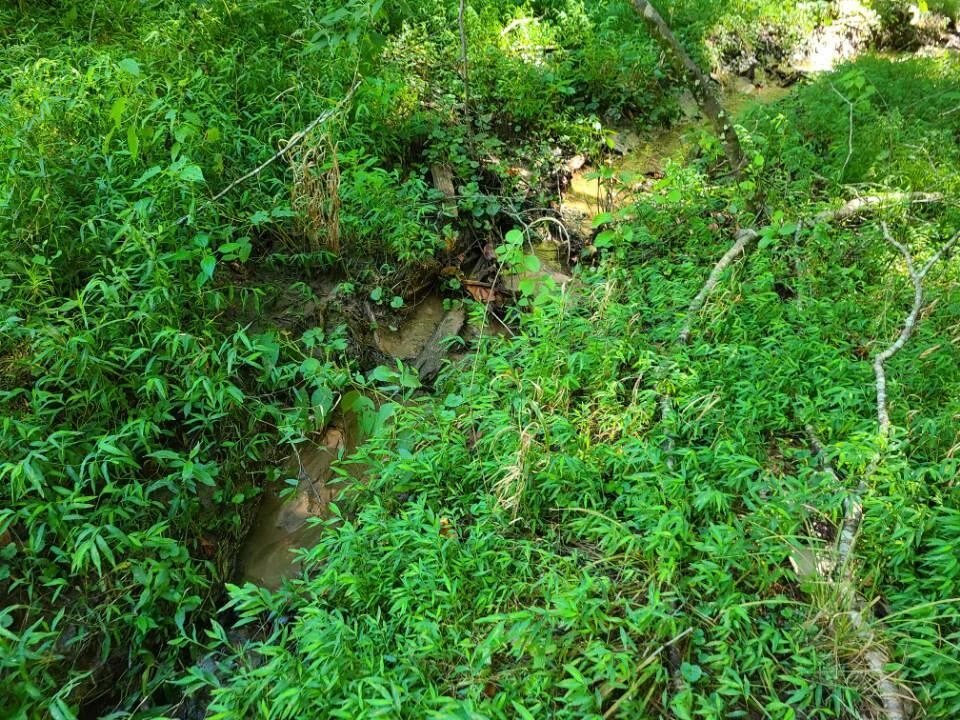 Lot 14 Hickory PL - Photo 25