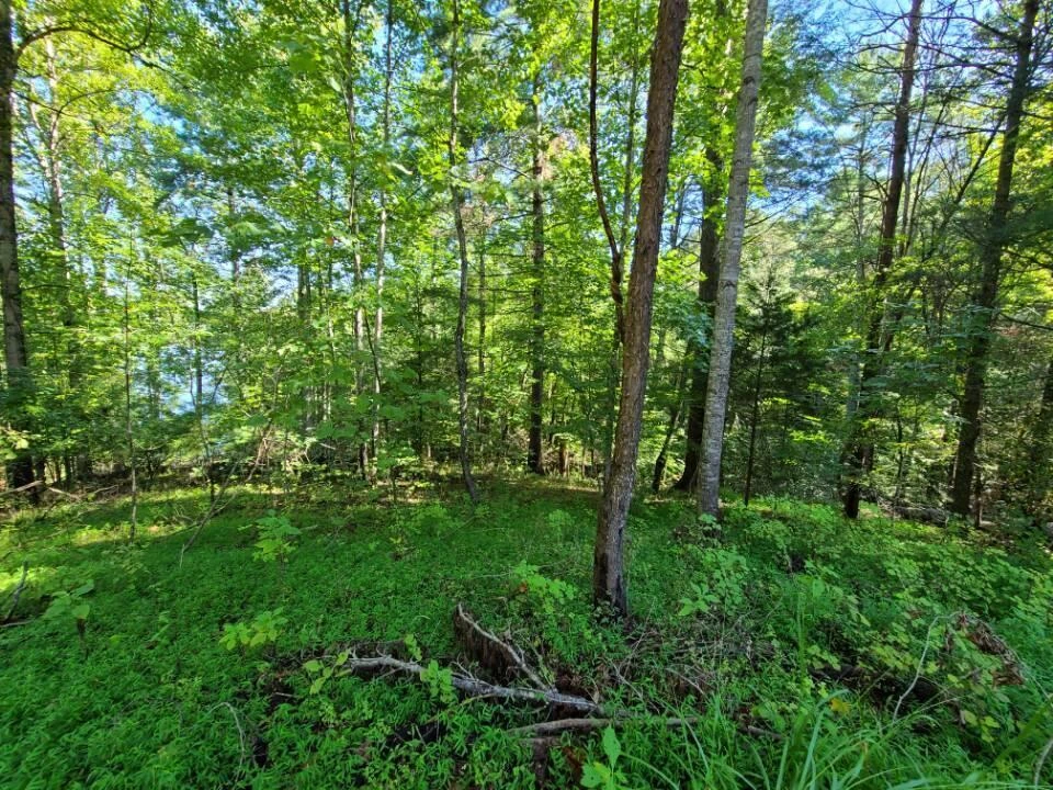 Lot 14 Hickory PL - Photo 26