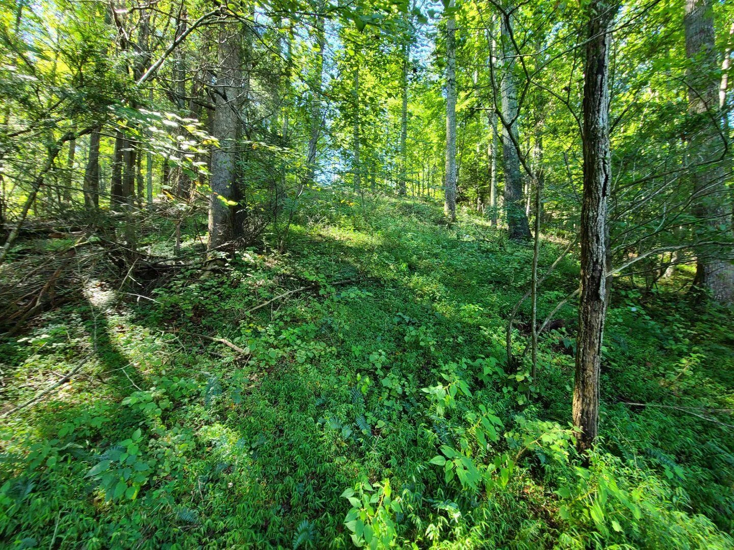 Lot 14 Hickory PL - Photo 27