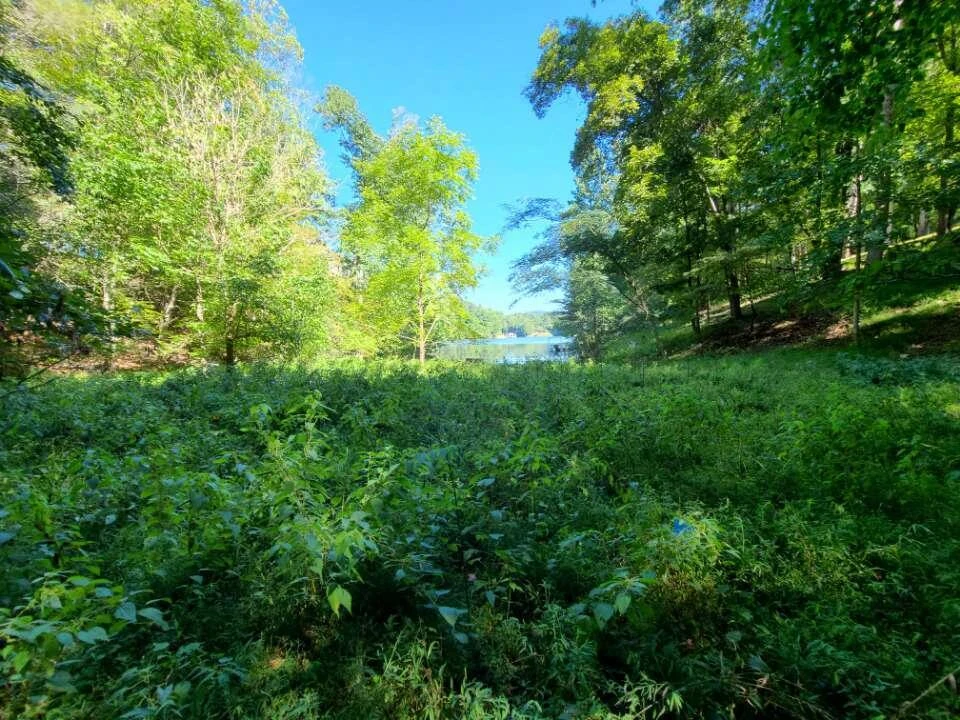 Lot 14 Hickory PL - Photo 28