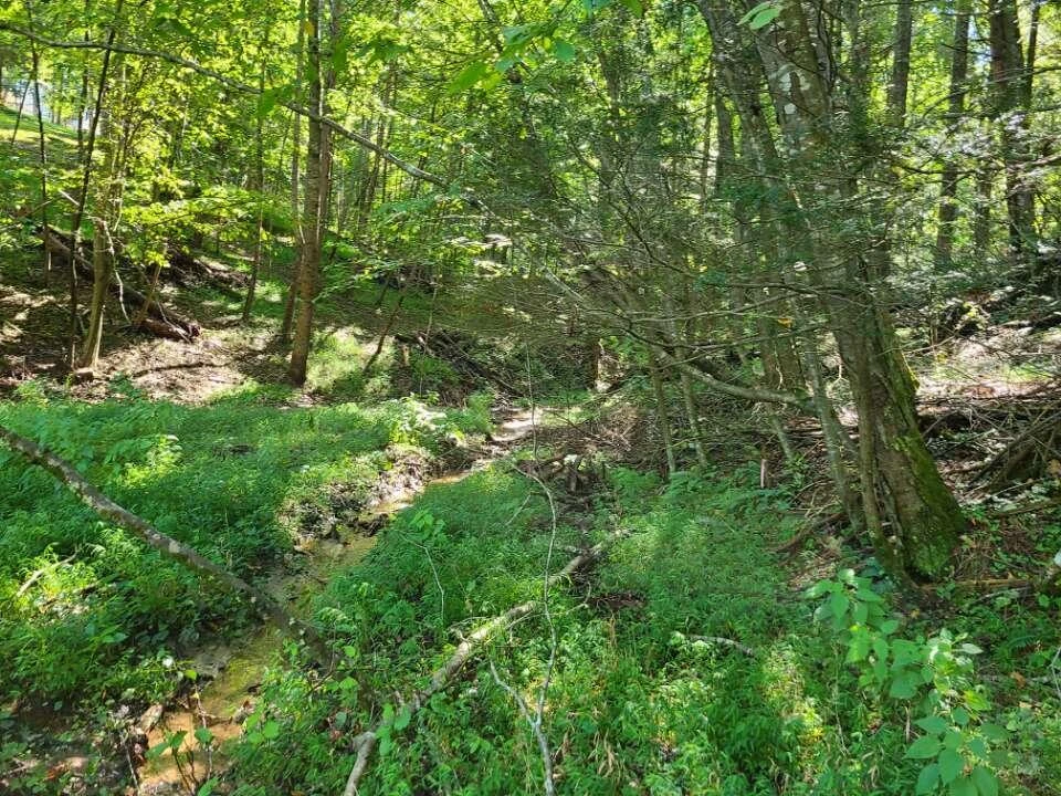 Lot 14 Hickory PL - Photo 29