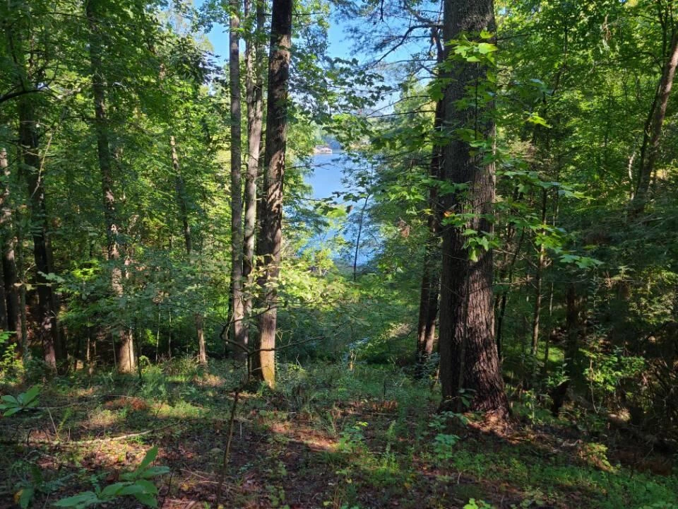 Lot 14 Hickory PL - Photo 30