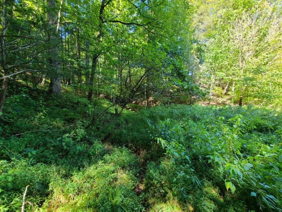 Lot 14 Hickory PL - Photo 32