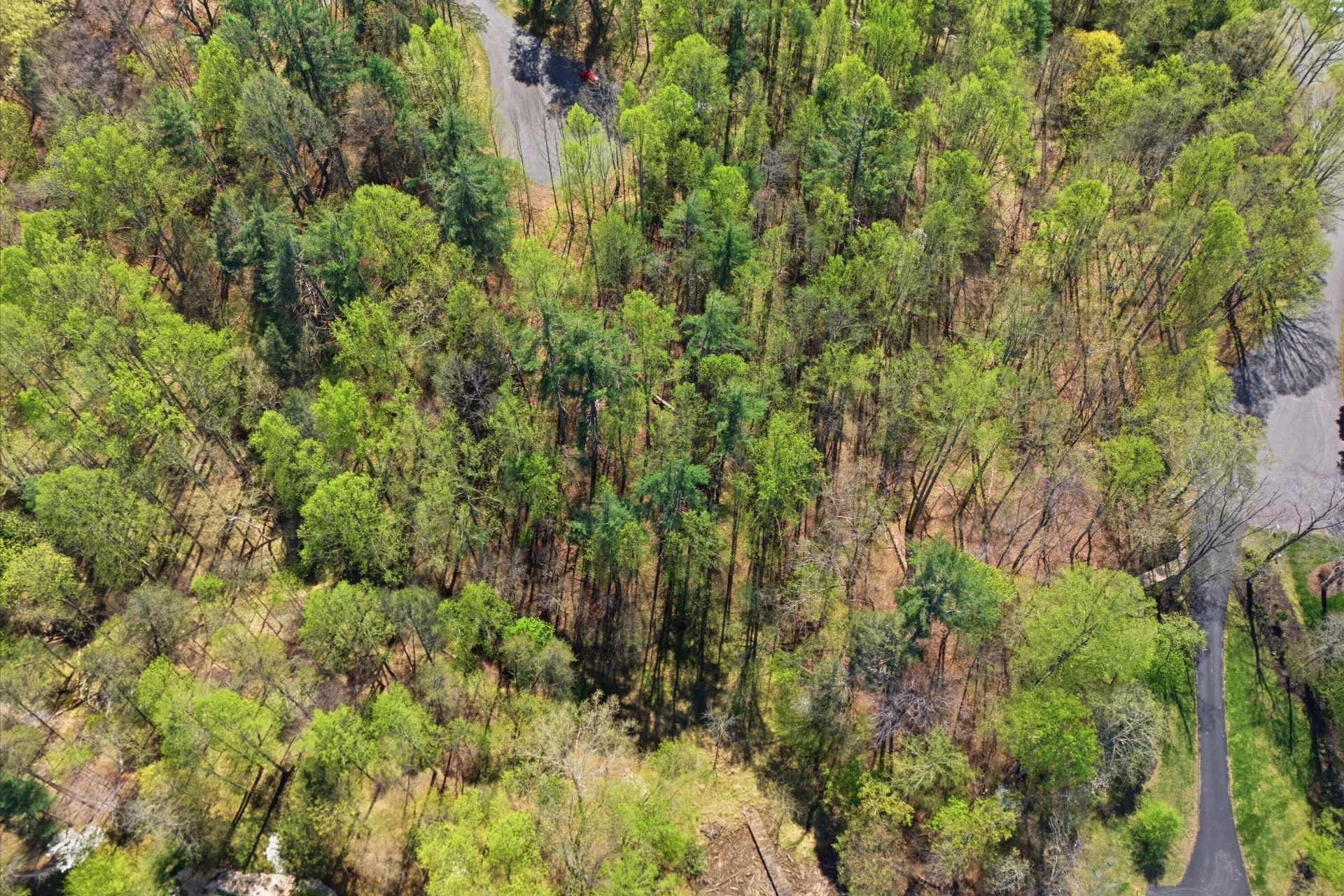Lot 14 Hickory PL - Photo 4