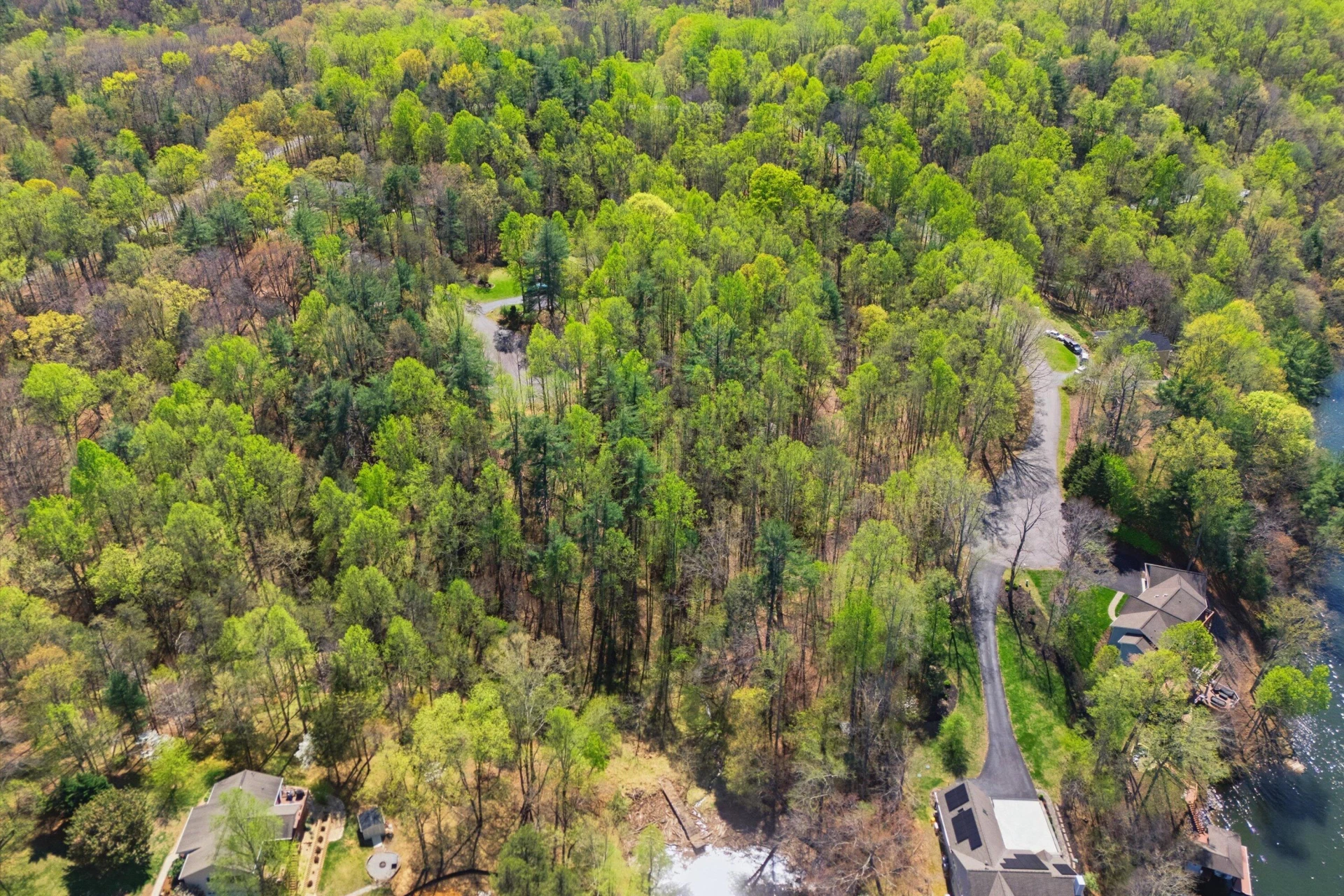 Lot 14 Hickory PL - Photo 6