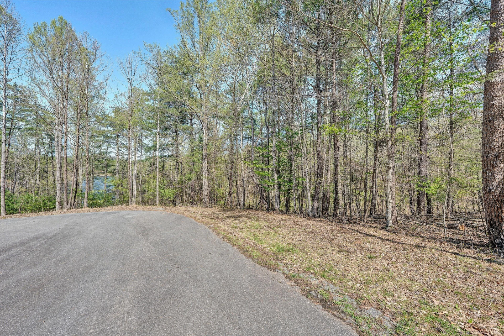 Lot 14 Hickory PL - Photo 7