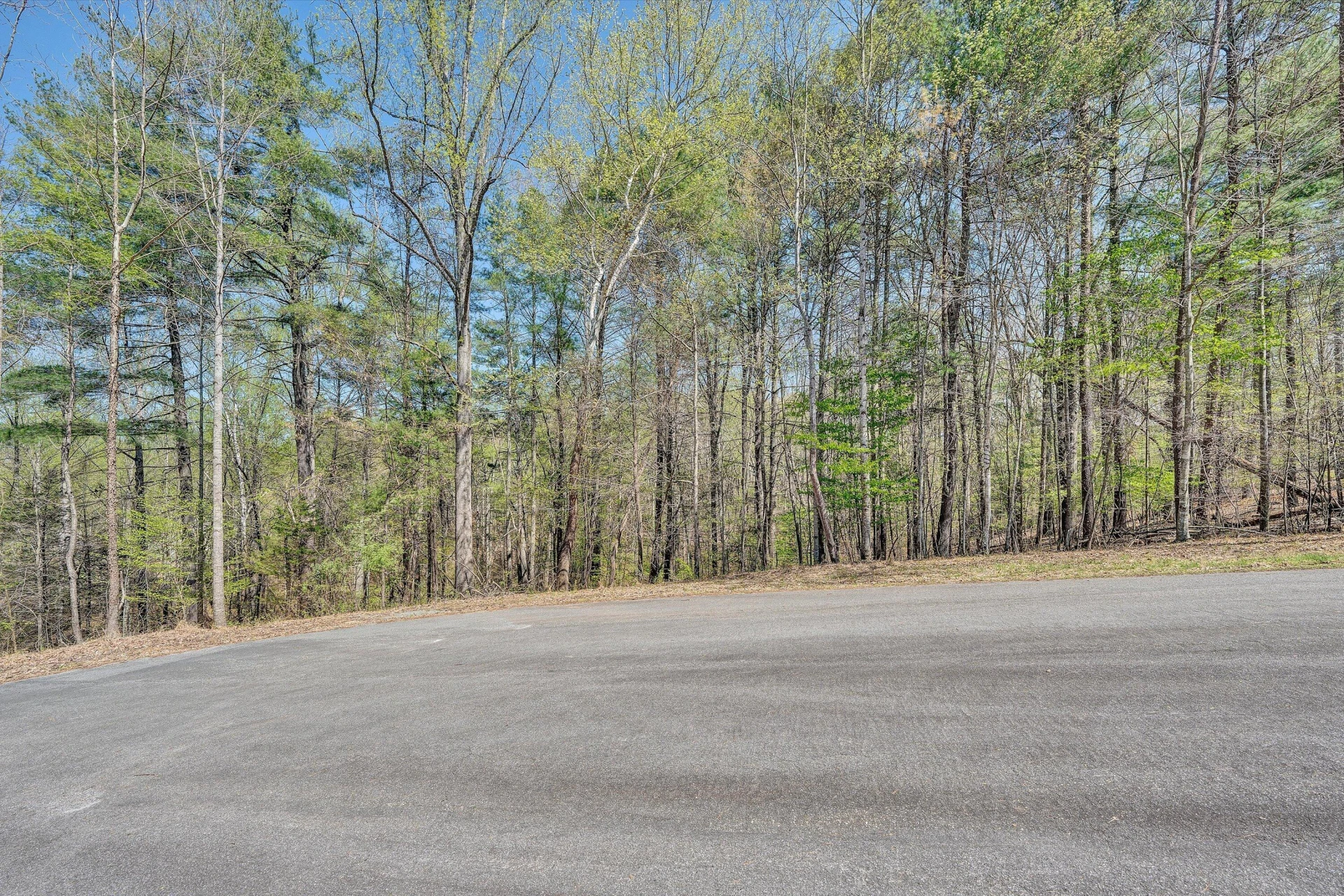 Lot 14 Hickory PL - Photo 8