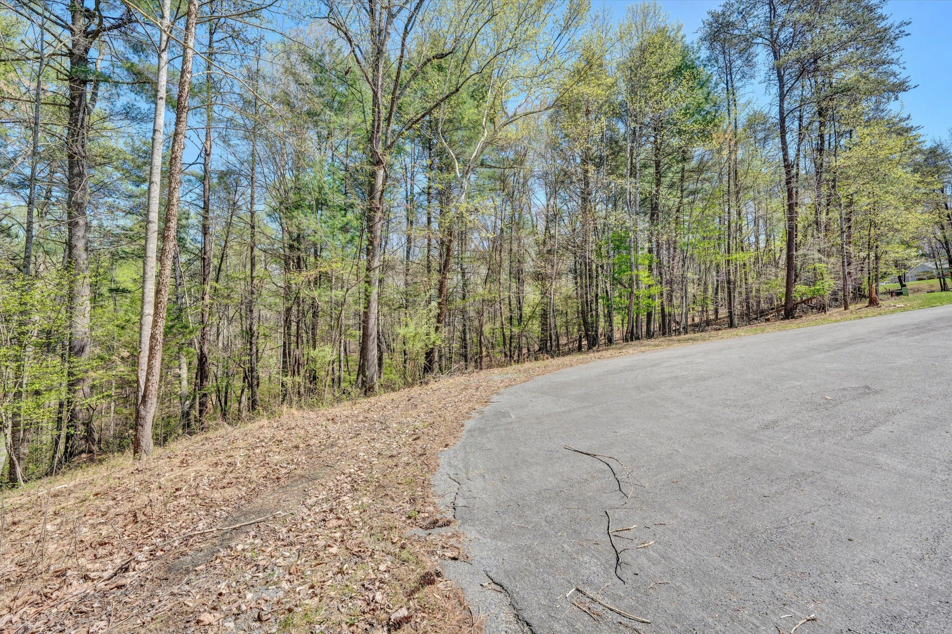Lot 14 Hickory PL - Photo 9