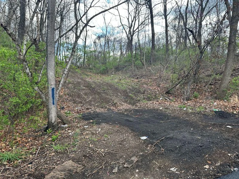 0 Manning RD NE - Photo 2