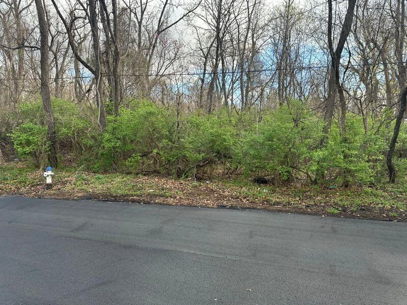 0 Manning RD NE - Photo 3