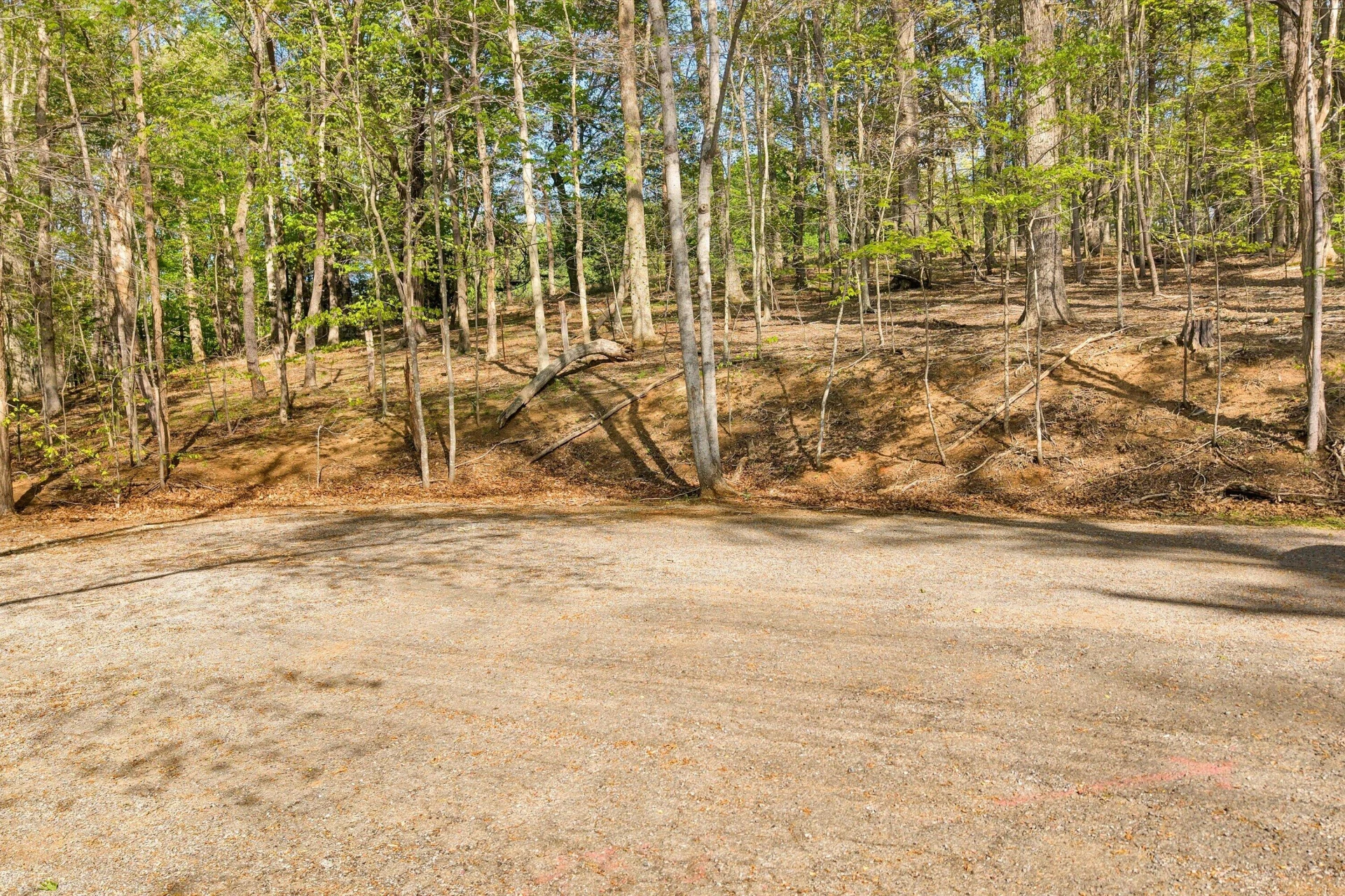 Lot 43 Old Barn RD - Photo 2