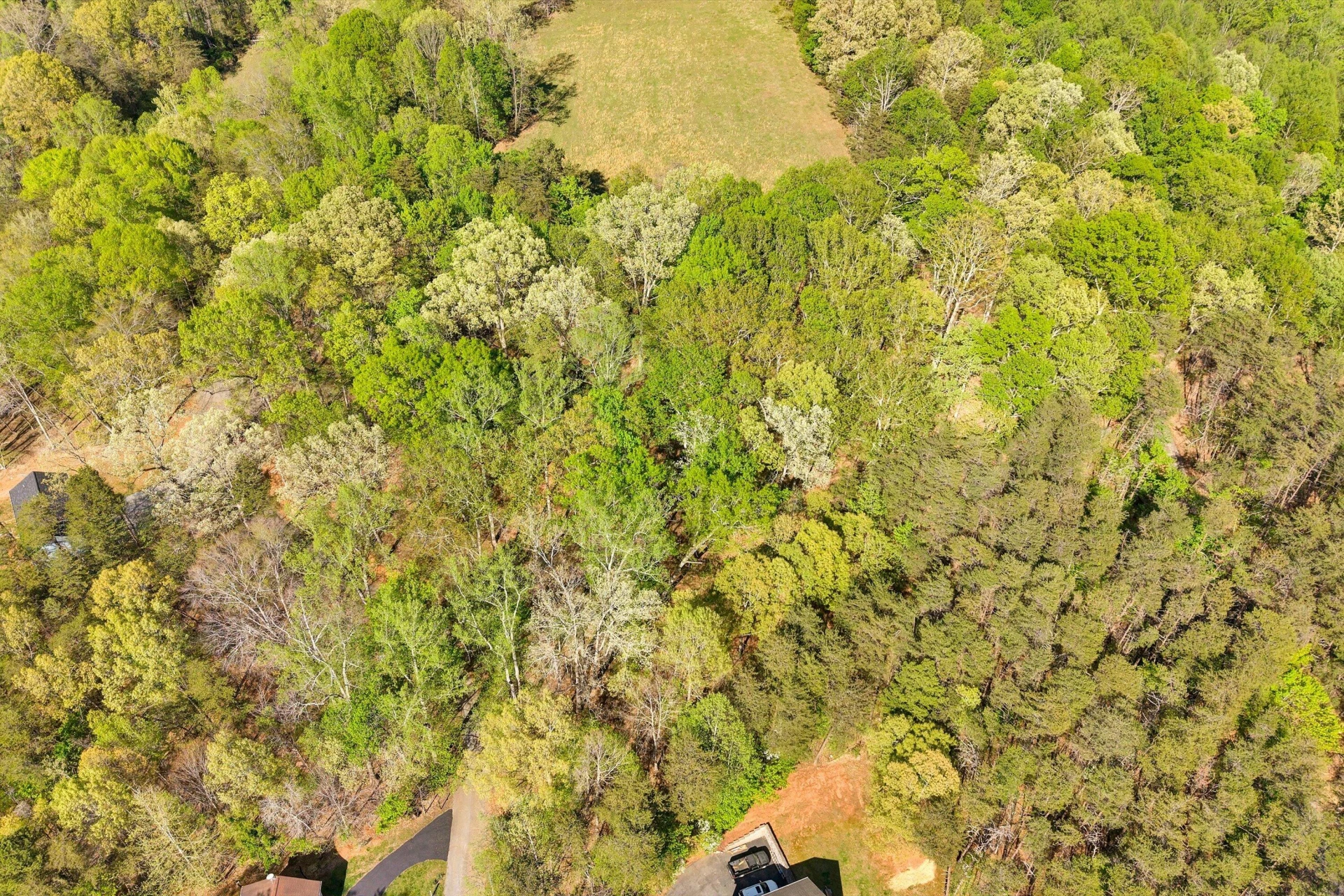 Lot 43 Old Barn RD - Photo 7
