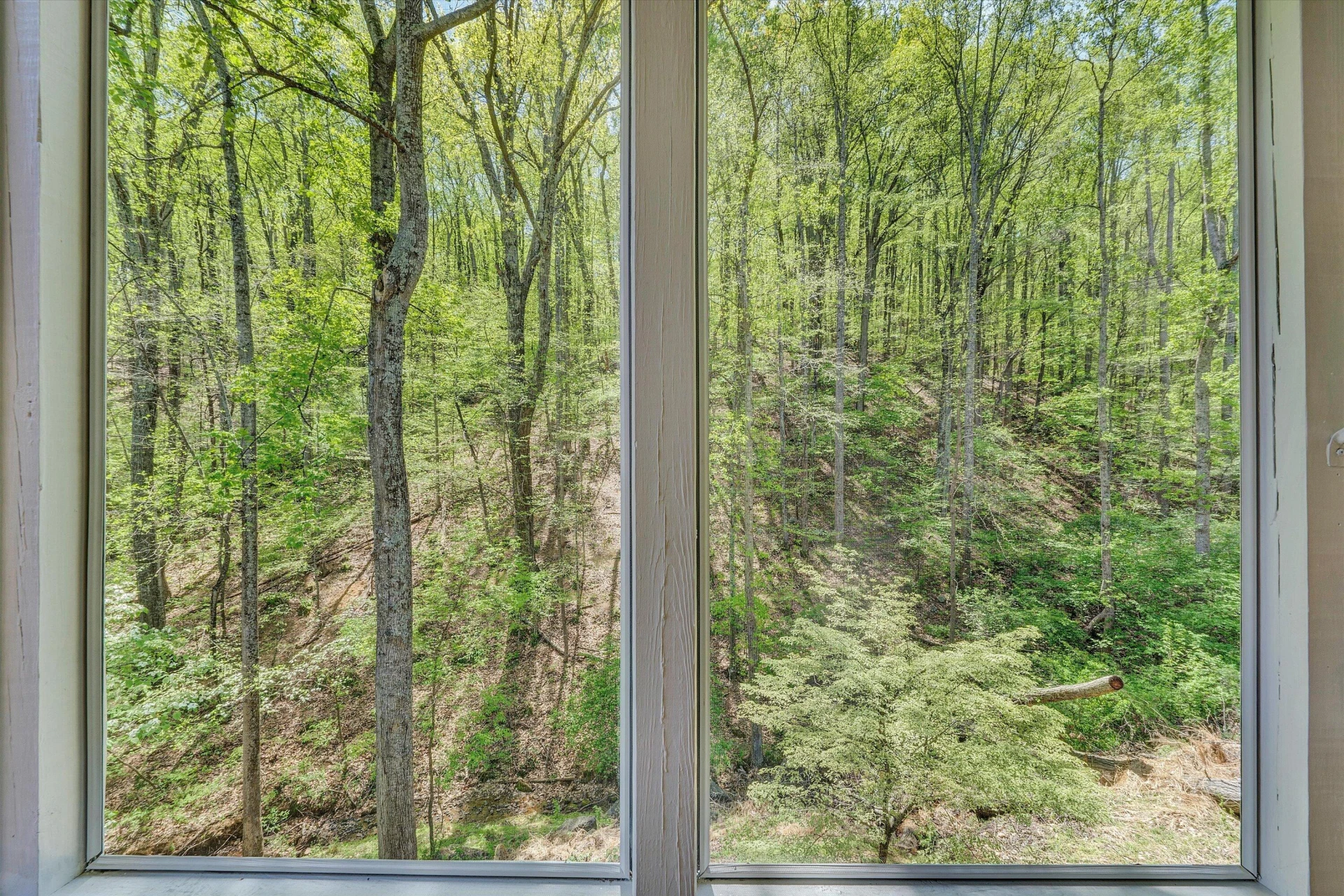 6516 Hidden Woods DR - Photo 20