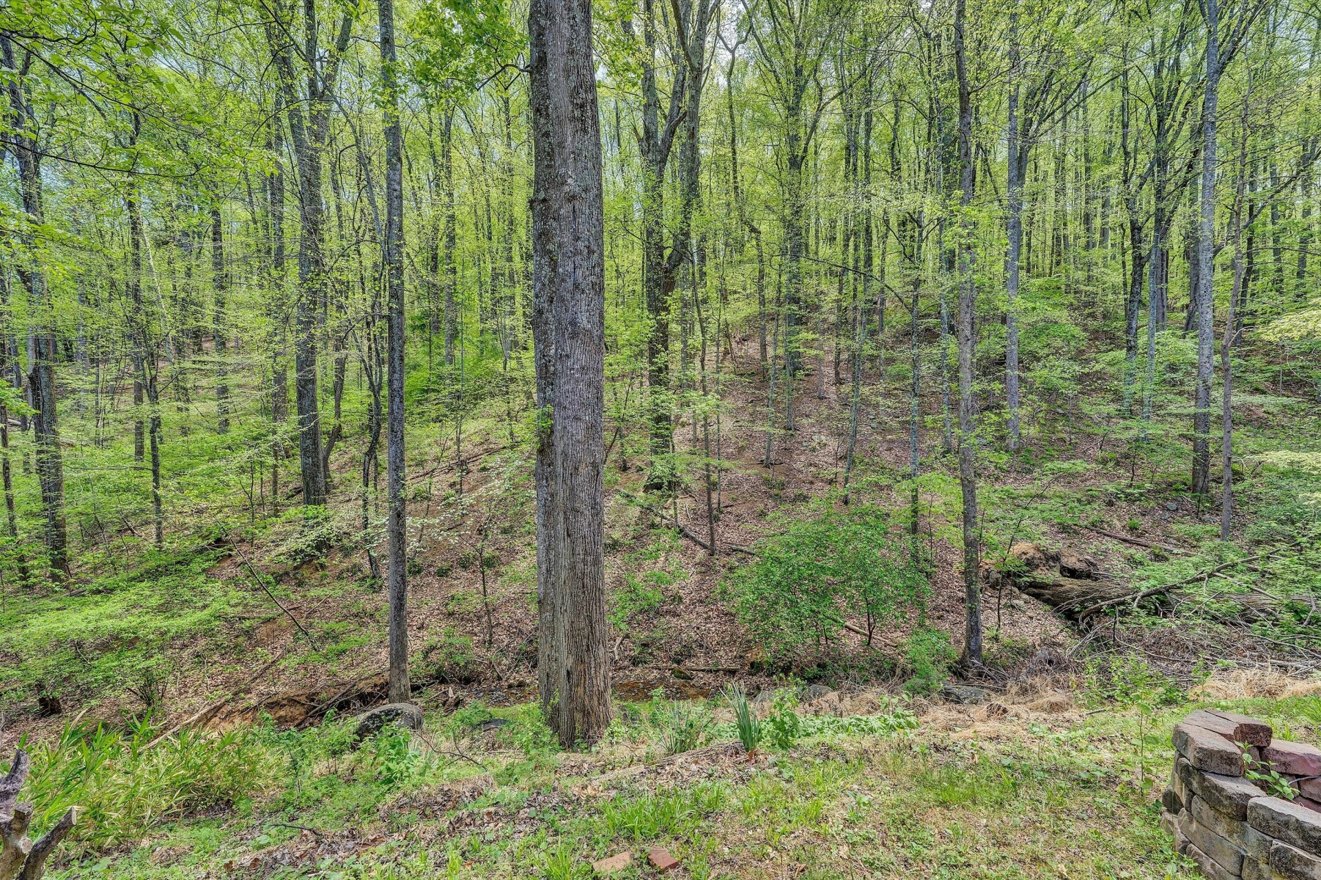 6516 Hidden Woods DR - Photo 50