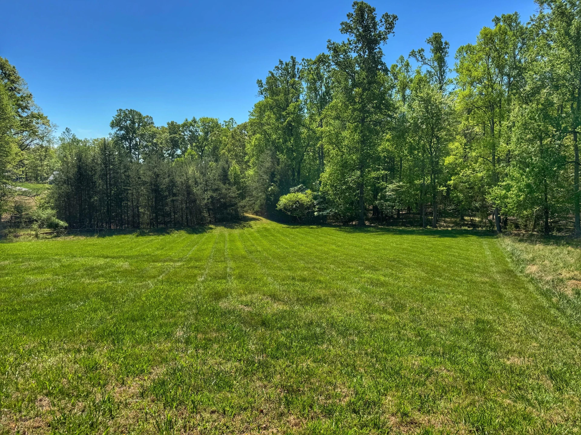 Lot 6 Tobacco Row CIR - Photo 2