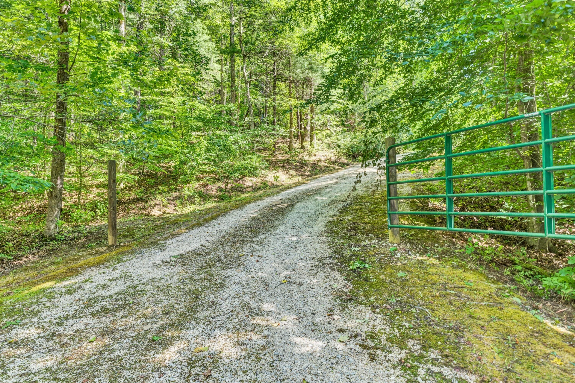 426 Ezra DR - Photo 47