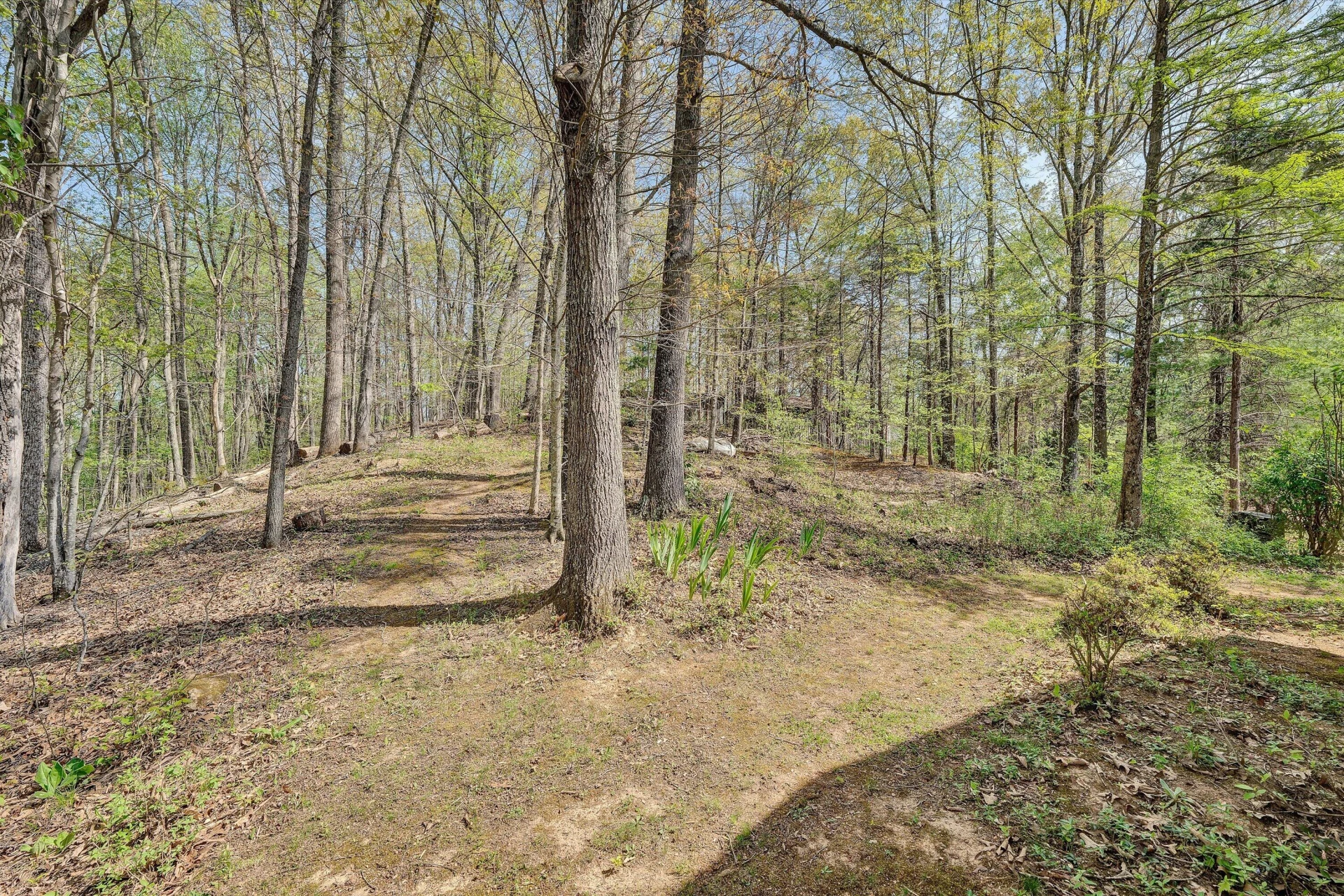 1124 Old Hollow RD - Photo 40
