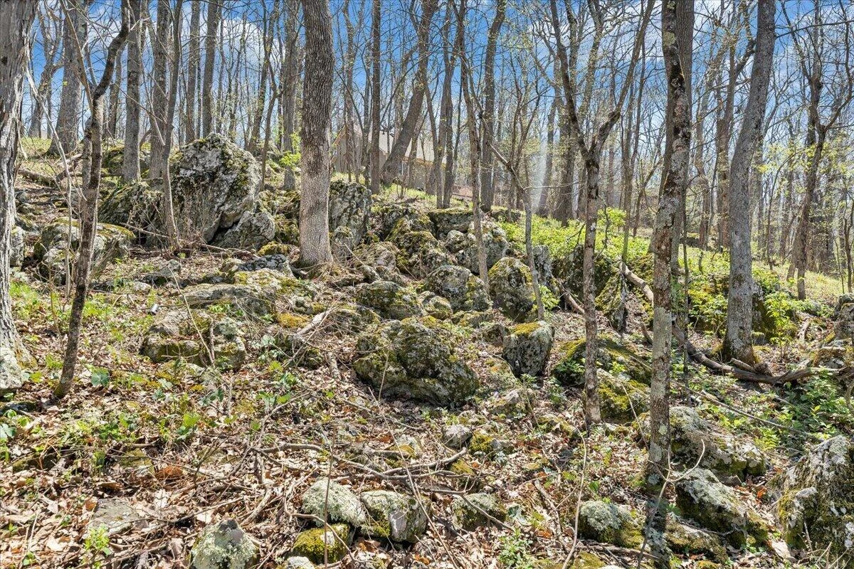 115 Hemlock DR - Photo 64