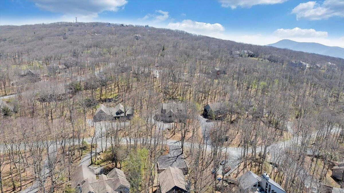 115 Hemlock DR - Photo 85