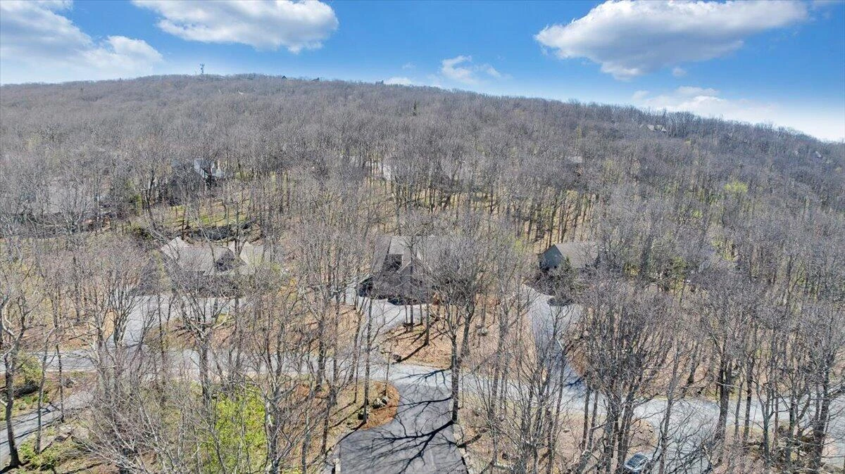 115 Hemlock DR - Photo 86