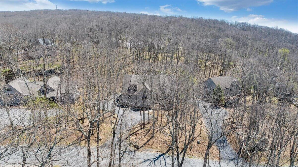 115 Hemlock DR - Photo 87